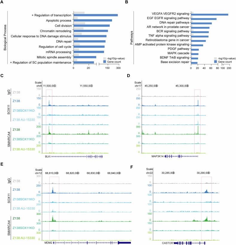 https://cdn.ncbi.nlm.nih.gov/pmc/blobs/a8fa/12311176/03ea0e5daa1f/41408_2025_1333_Fig4_HTML.jpg