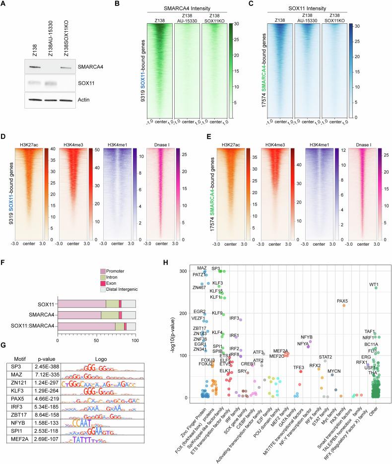 https://cdn.ncbi.nlm.nih.gov/pmc/blobs/a8fa/12311176/10ab8083371d/41408_2025_1333_Fig3_HTML.jpg