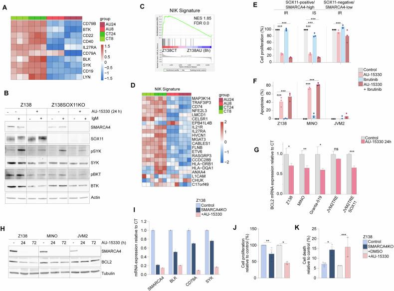 https://cdn.ncbi.nlm.nih.gov/pmc/blobs/a8fa/12311176/26ce4e6b09b3/41408_2025_1333_Fig7_HTML.jpg