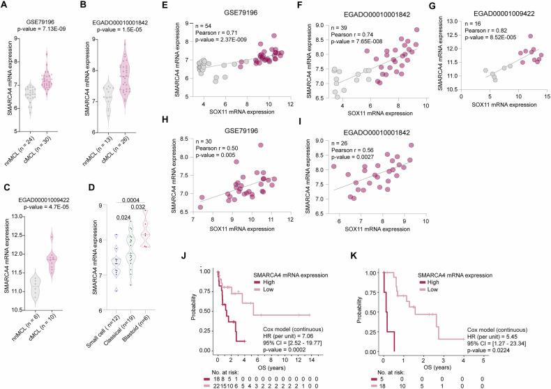 https://cdn.ncbi.nlm.nih.gov/pmc/blobs/a8fa/12311176/424467de6164/41408_2025_1333_Fig6_HTML.jpg