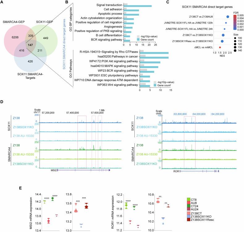 https://cdn.ncbi.nlm.nih.gov/pmc/blobs/a8fa/12311176/819104b6d72b/41408_2025_1333_Fig5_HTML.jpg