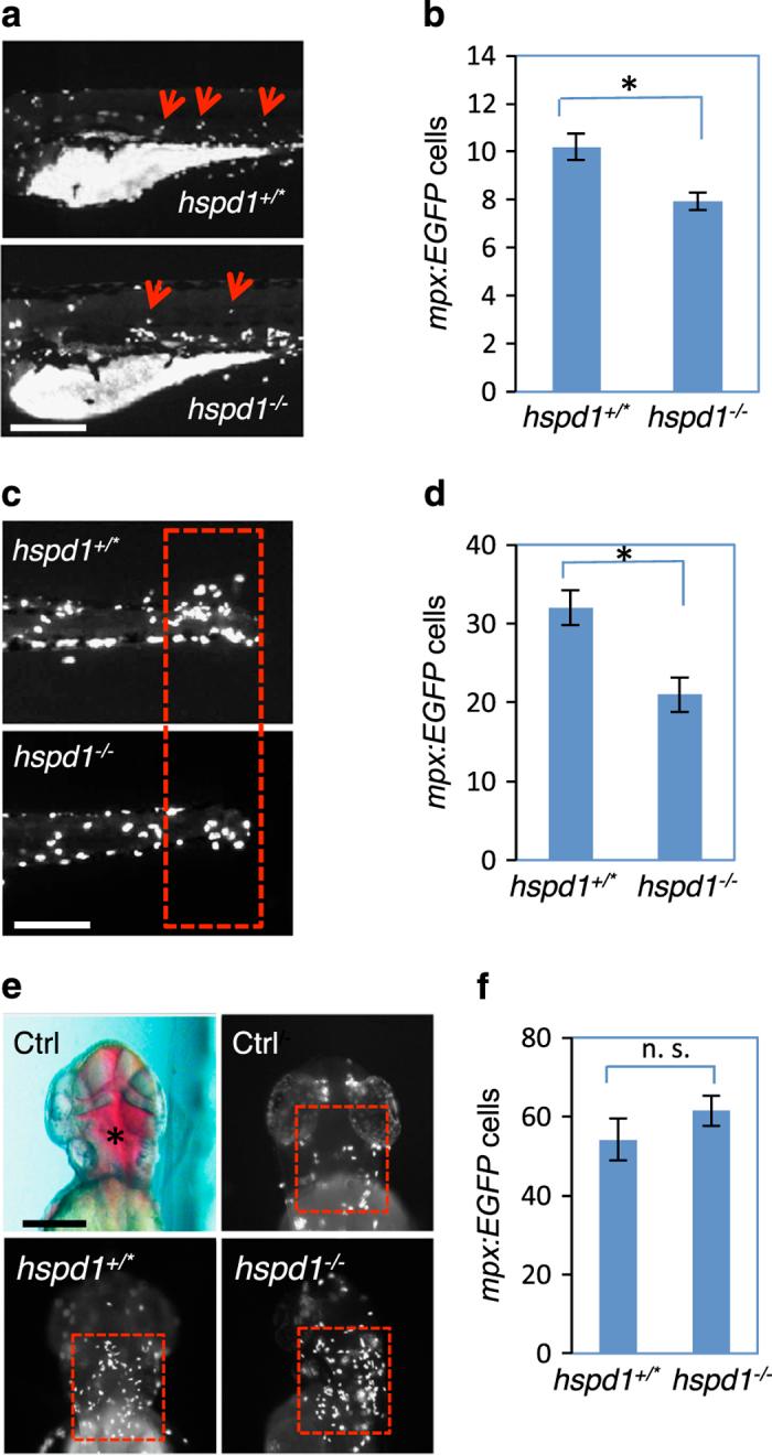 https://cdn.ncbi.nlm.nih.gov/pmc/blobs/a8fd/5744706/1fdf2b968119/npjregenmed201613-f3.jpg