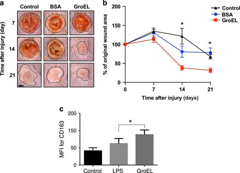 https://cdn.ncbi.nlm.nih.gov/pmc/blobs/a8fd/5744706/c4b22969f445/npjregenmed201613-f8.jpg