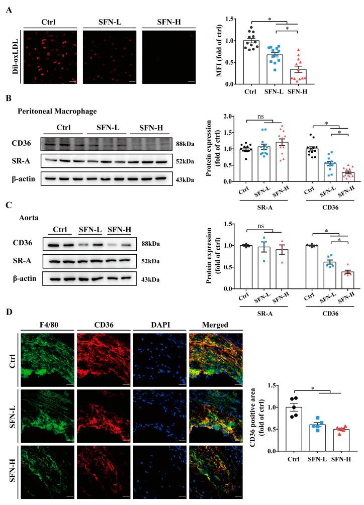 https://cdn.ncbi.nlm.nih.gov/pmc/blobs/a902/10181211/2d5f57479b1f/nutrients-15-02117-g003.jpg