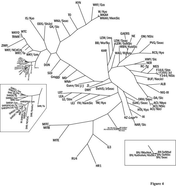 https://cdn.ncbi.nlm.nih.gov/pmc/blobs/a902/1475628/ab5c3c4f1ba4/1471-2156-7-19-4.jpg