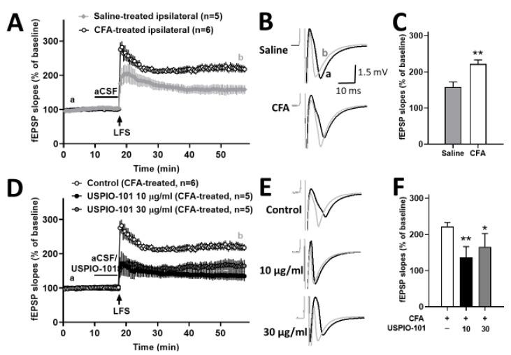 https://cdn.ncbi.nlm.nih.gov/pmc/blobs/a902/8879719/280242ccc2d8/pharmaceutics-14-00366-g003.jpg