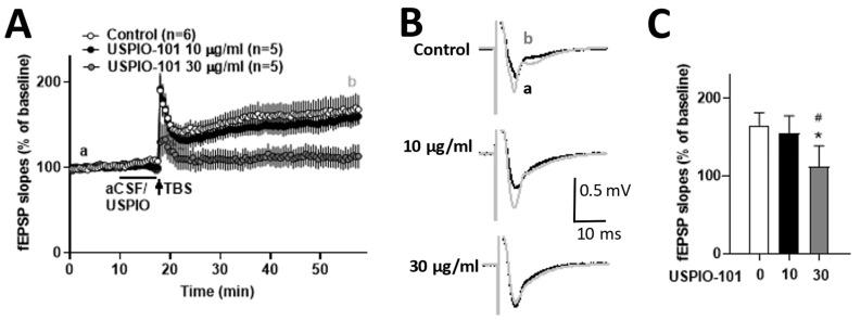 https://cdn.ncbi.nlm.nih.gov/pmc/blobs/a902/8879719/525e851e9ec0/pharmaceutics-14-00366-g007.jpg