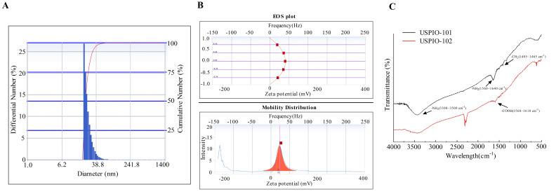 https://cdn.ncbi.nlm.nih.gov/pmc/blobs/a902/8879719/b2916c4af9cc/pharmaceutics-14-00366-g001.jpg
