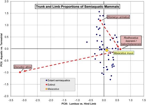 https://cdn.ncbi.nlm.nih.gov/pmc/blobs/a903/2629576/f02f7803b2a3/pone.0004366.g013.jpg