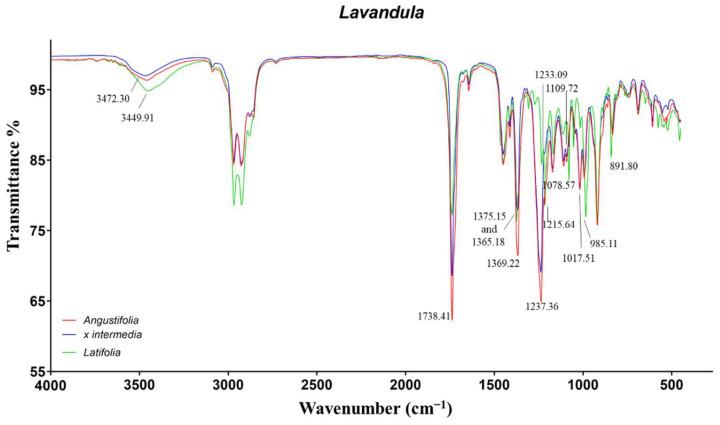 https://cdn.ncbi.nlm.nih.gov/pmc/blobs/a903/9458032/92cac5284f0c/molecules-27-05618-g004.jpg