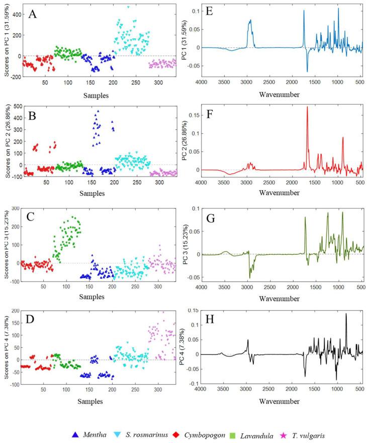 https://cdn.ncbi.nlm.nih.gov/pmc/blobs/a903/9458032/f40bd711480d/molecules-27-05618-g006.jpg
