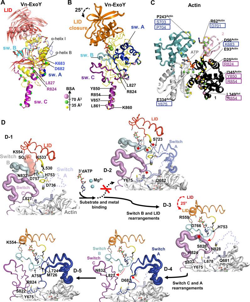 https://cdn.ncbi.nlm.nih.gov/pmc/blobs/a904/10553838/1da7438d7329/ppat.1011654.g004.jpg