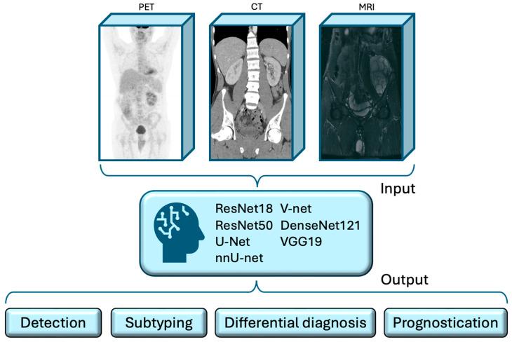 https://cdn.ncbi.nlm.nih.gov/pmc/blobs/a905/11719749/f566f4bb3afd/cancers-17-00069-g002.jpg