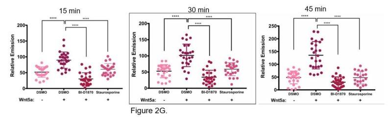 https://cdn.ncbi.nlm.nih.gov/pmc/blobs/a907/5919757/84acb49f7d12/elife-34362-resp-fig2.jpg
