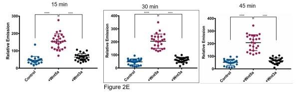https://cdn.ncbi.nlm.nih.gov/pmc/blobs/a907/5919757/98f21eebaae7/elife-34362-resp-fig1.jpg