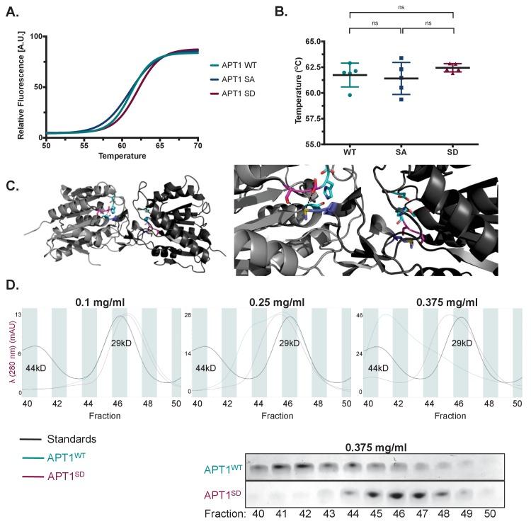 https://cdn.ncbi.nlm.nih.gov/pmc/blobs/a907/5919757/ad6fa3346ae1/elife-34362-fig4.jpg