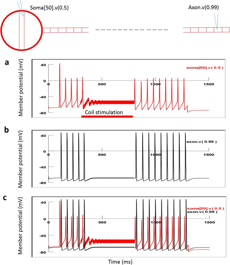https://cdn.ncbi.nlm.nih.gov/pmc/blobs/a908/8245477/34272d3cae06/41598_2021_93114_Fig10_HTML.jpg