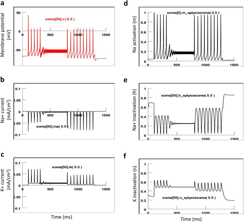 https://cdn.ncbi.nlm.nih.gov/pmc/blobs/a908/8245477/da5b243bbe86/41598_2021_93114_Fig11_HTML.jpg