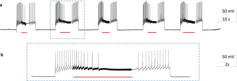 https://cdn.ncbi.nlm.nih.gov/pmc/blobs/a908/8245477/e372d700af24/41598_2021_93114_Fig4_HTML.jpg