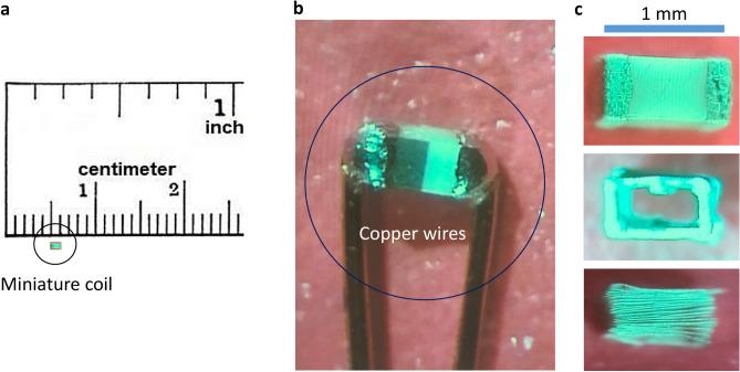 https://cdn.ncbi.nlm.nih.gov/pmc/blobs/a908/8245477/ee5a796473ff/41598_2021_93114_Fig1_HTML.jpg