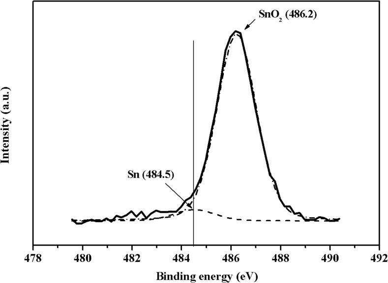 https://cdn.ncbi.nlm.nih.gov/pmc/blobs/a90a/6395158/861984fe1fe3/figs6.jpg