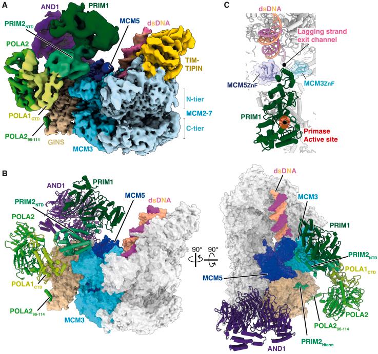 https://cdn.ncbi.nlm.nih.gov/pmc/blobs/a90b/10501992/05a81ee7ec06/gr4.jpg