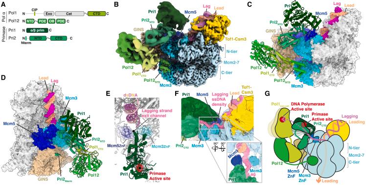 https://cdn.ncbi.nlm.nih.gov/pmc/blobs/a90b/10501992/71c262a274bc/gr1.jpg