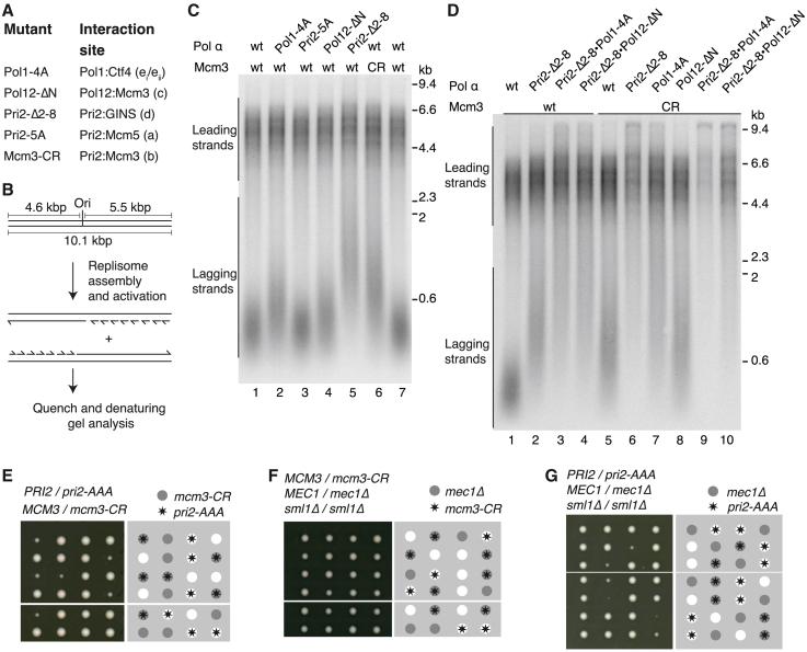 https://cdn.ncbi.nlm.nih.gov/pmc/blobs/a90b/10501992/72000c0c0f75/gr3.jpg