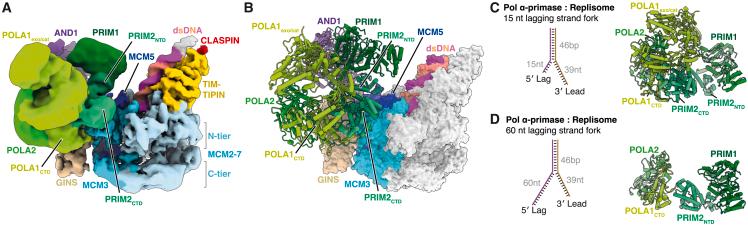 https://cdn.ncbi.nlm.nih.gov/pmc/blobs/a90b/10501992/8c5662c1440a/gr5.jpg