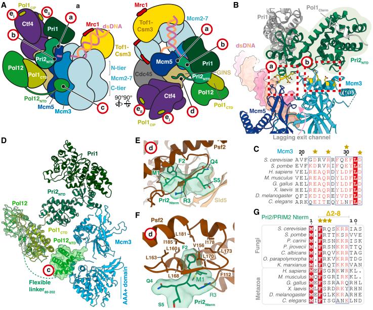 https://cdn.ncbi.nlm.nih.gov/pmc/blobs/a90b/10501992/fe0d314238ac/gr2.jpg