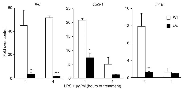 https://cdn.ncbi.nlm.nih.gov/pmc/blobs/a90b/3467027/74c7243596d6/cc-11-3304-g1.jpg