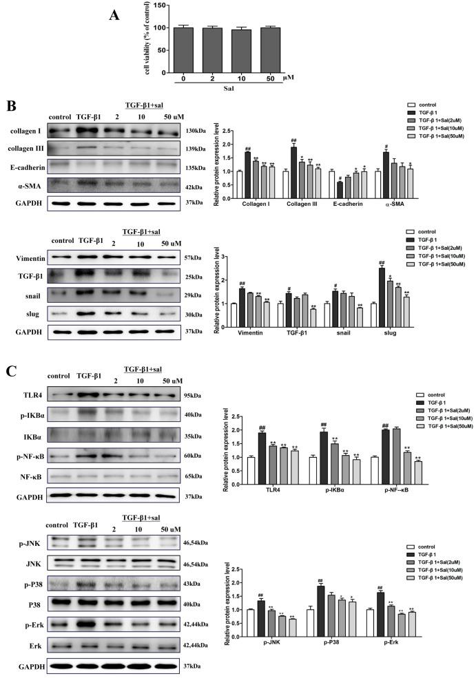 https://cdn.ncbi.nlm.nih.gov/pmc/blobs/a90b/6429495/1e9f28ad2098/ijms-20-01103-g006.jpg