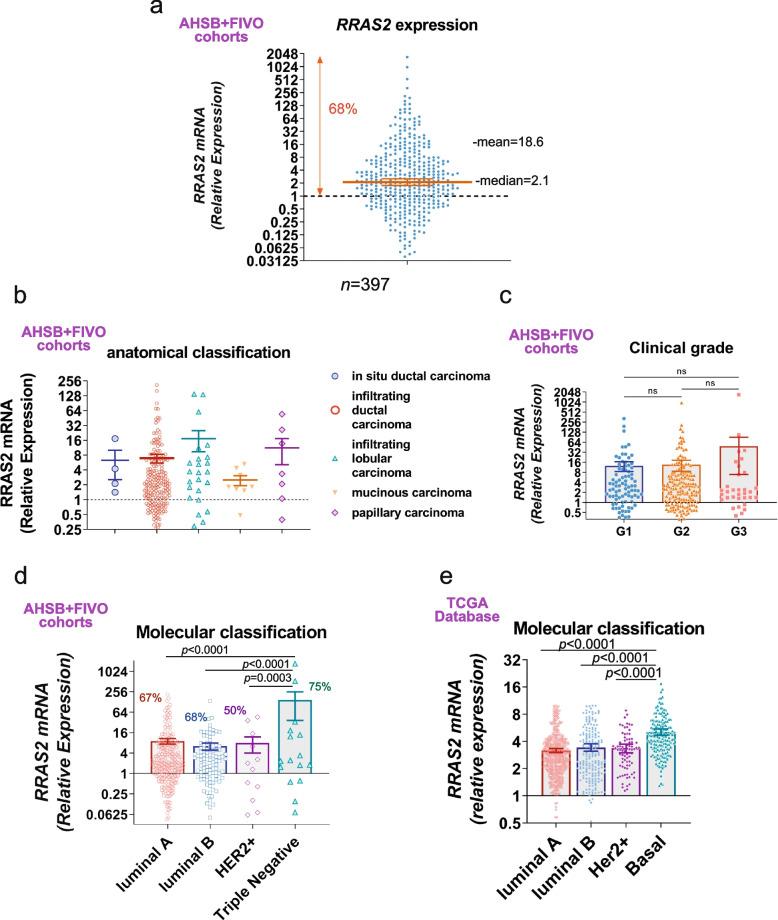 https://cdn.ncbi.nlm.nih.gov/pmc/blobs/a90d/11234613/c44bb616e924/12943_2024_2054_Fig5_HTML.jpg
