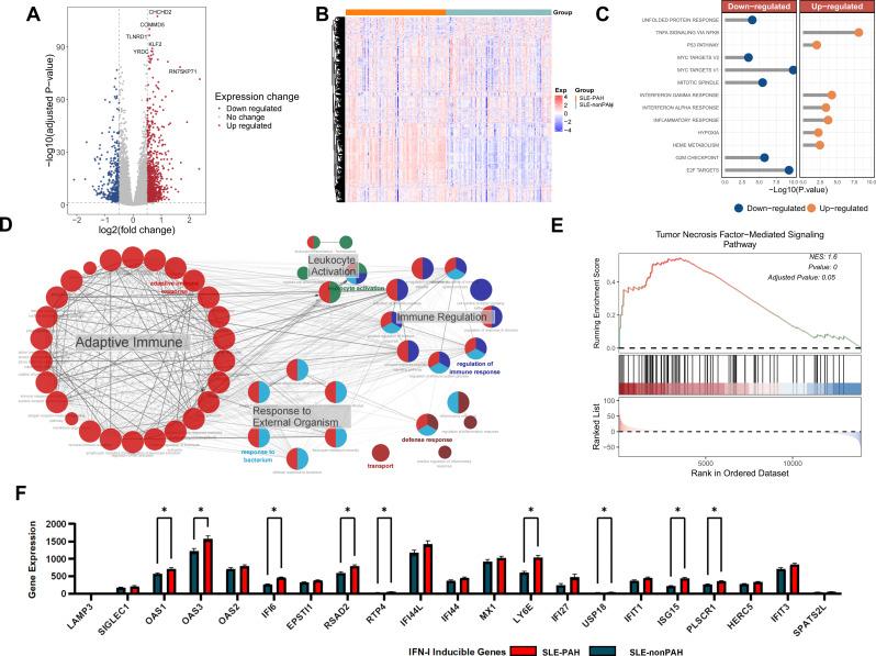 https://cdn.ncbi.nlm.nih.gov/pmc/blobs/a90d/11921494/4a25201823ae/12931_2025_3169_Fig1_HTML.jpg