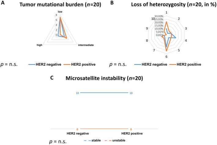 https://cdn.ncbi.nlm.nih.gov/pmc/blobs/a90f/10800294/1e437b79dd02/CJP2-10-e12362-g006.jpg