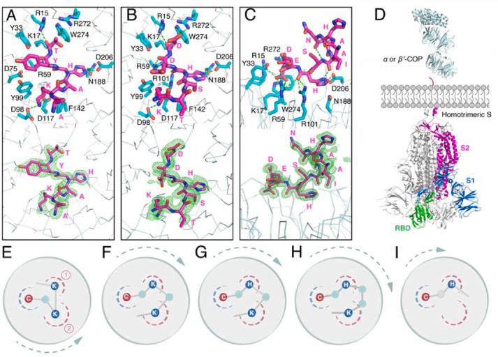 https://cdn.ncbi.nlm.nih.gov/pmc/blobs/a910/10372824/e10d31302cd9/gr1.jpg
