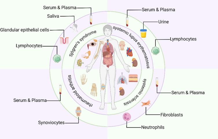 https://cdn.ncbi.nlm.nih.gov/pmc/blobs/a910/12024484/28c40a988a9d/IJN-20-5137-g0003.jpg