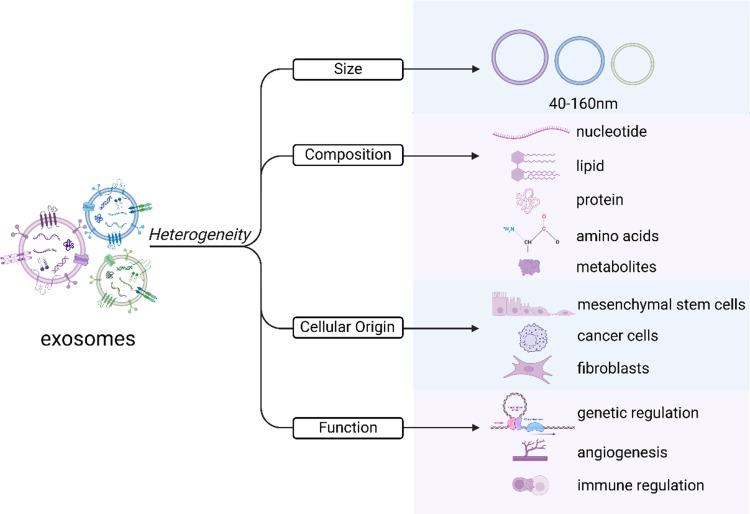 https://cdn.ncbi.nlm.nih.gov/pmc/blobs/a910/12024484/b78c1f2e4aba/IJN-20-5137-g0002.jpg