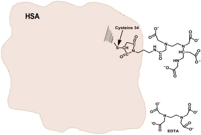 https://cdn.ncbi.nlm.nih.gov/pmc/blobs/a910/8540012/4864339e78d5/pharmaceutics-13-01557-g001.jpg