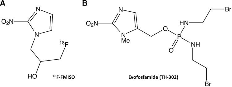 https://cdn.ncbi.nlm.nih.gov/pmc/blobs/a913/6024398/125b831d5f3b/tom0041600610001.jpg