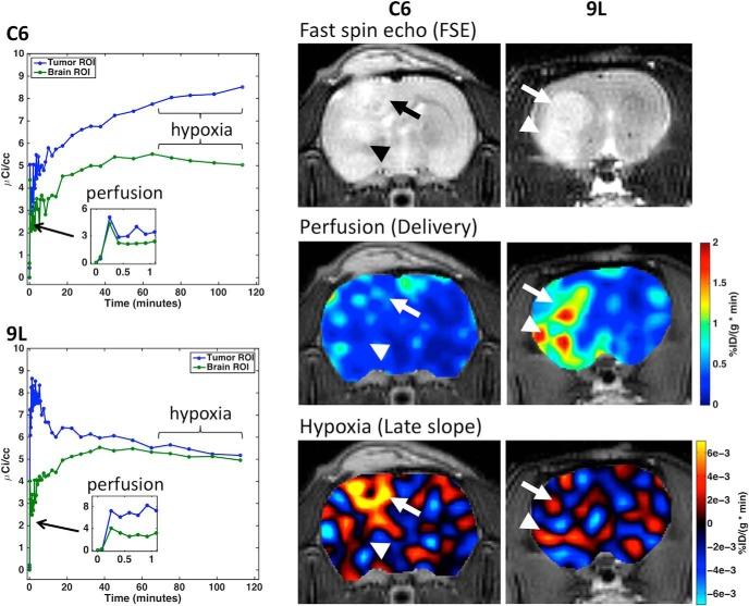 https://cdn.ncbi.nlm.nih.gov/pmc/blobs/a913/6024398/4387a28a784b/tom0041600610002.jpg