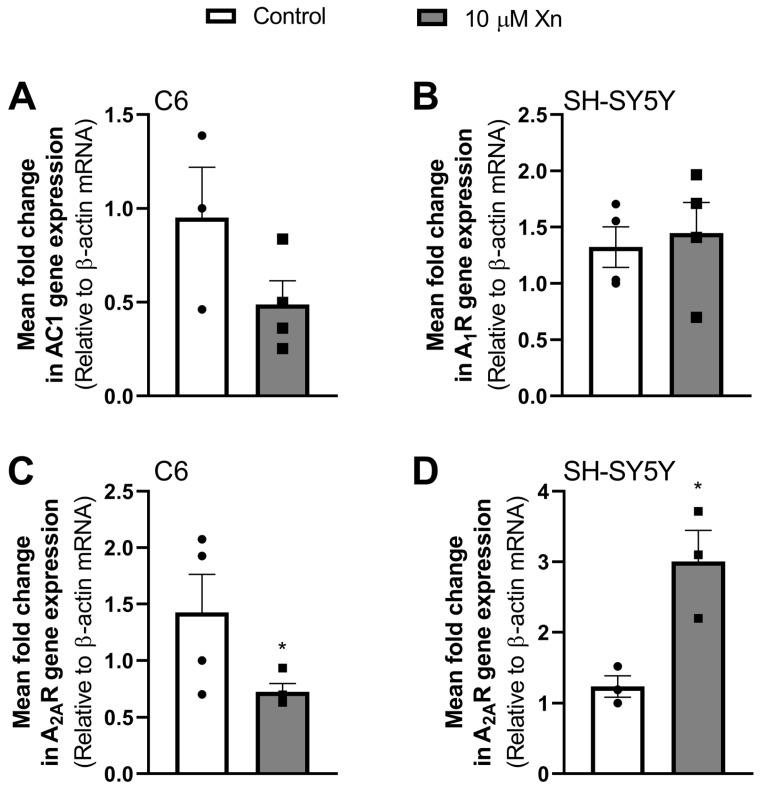 https://cdn.ncbi.nlm.nih.gov/pmc/blobs/a914/11174739/858771360dec/nutrients-16-01792-g002.jpg