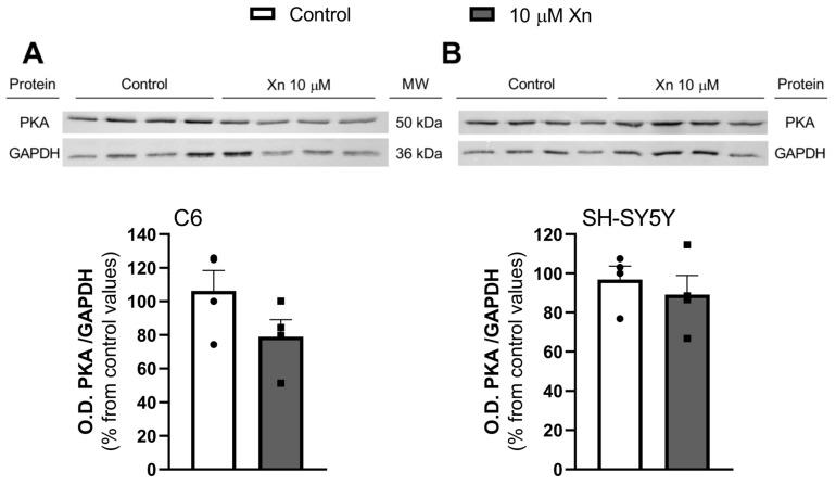 https://cdn.ncbi.nlm.nih.gov/pmc/blobs/a914/11174739/b8e5568d866a/nutrients-16-01792-g005.jpg