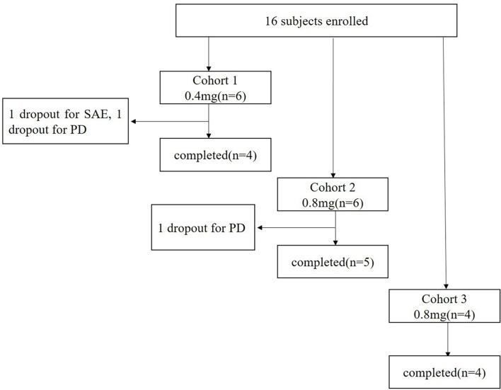 https://cdn.ncbi.nlm.nih.gov/pmc/blobs/a914/8602890/62653efbd67a/fonc-11-745699-g001.jpg