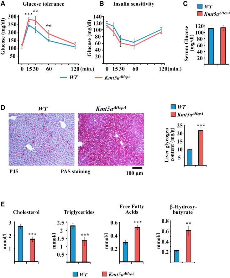 https://cdn.ncbi.nlm.nih.gov/pmc/blobs/a915/5542855/07d81551fdee/gr5.jpg