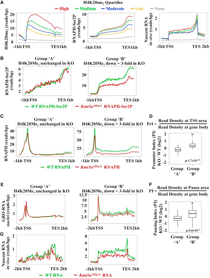 https://cdn.ncbi.nlm.nih.gov/pmc/blobs/a915/5542855/4783abb62e91/gr2.jpg