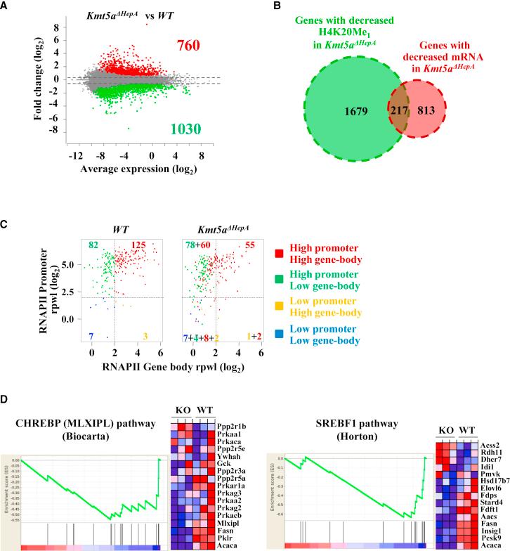 https://cdn.ncbi.nlm.nih.gov/pmc/blobs/a915/5542855/7f9041f60779/gr3.jpg