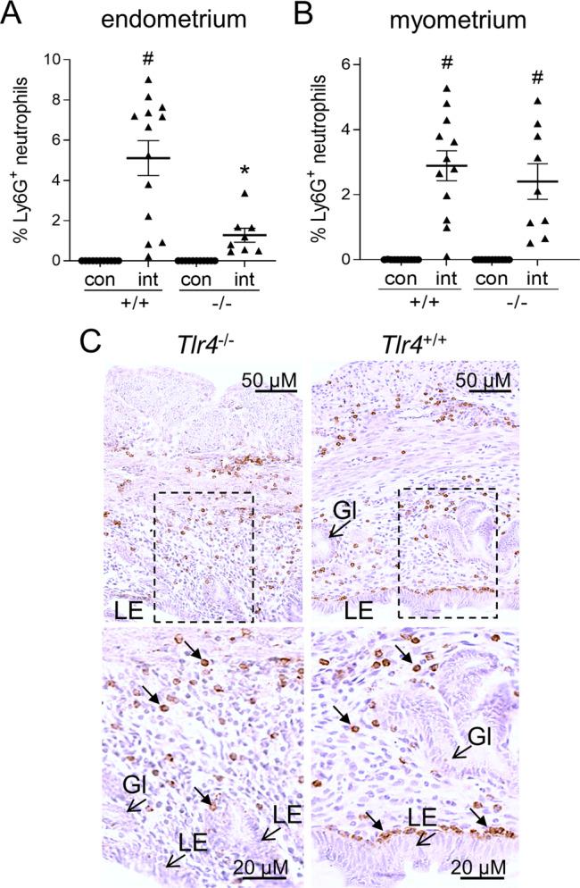 https://cdn.ncbi.nlm.nih.gov/pmc/blobs/a915/8121928/280b4d7376ea/42003_2021_2038_Fig7_HTML.jpg