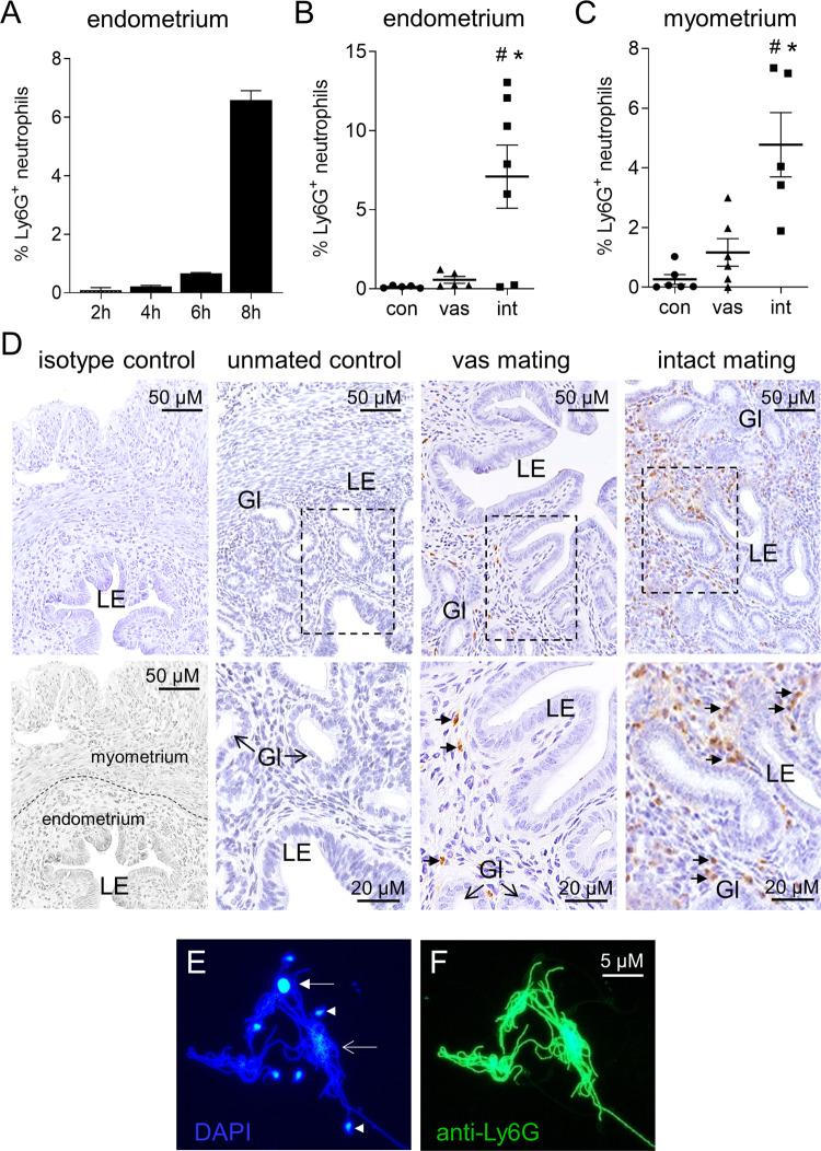 https://cdn.ncbi.nlm.nih.gov/pmc/blobs/a915/8121928/28c5df78191e/42003_2021_2038_Fig3_HTML.jpg
