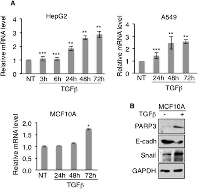 https://cdn.ncbi.nlm.nih.gov/pmc/blobs/a916/5325429/0e713b3186c0/oncotarget-07-64109-g002.jpg